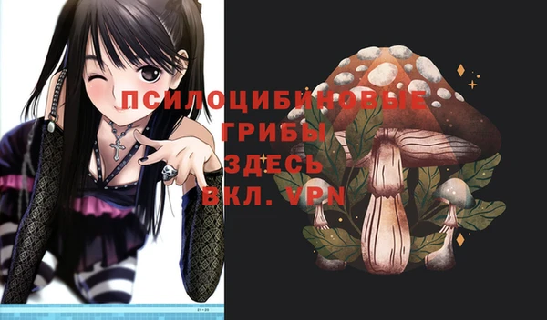 ешки Приозерск