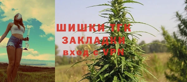прущие крисы Абаза