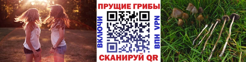 shop формула  ОМГ ОМГ как зайти  Майский  Галлюциногенные грибы прущие грибы 