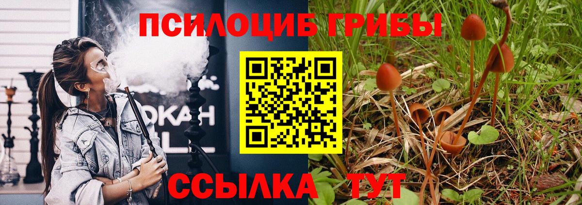 Псилоцибиновые грибы мухоморы Майский